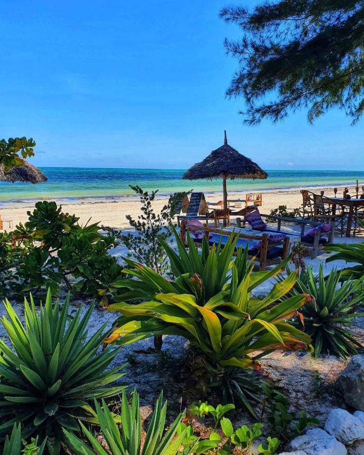 布韦朱Blue Palm Zanzibar住宿加早餐旅馆 外观 照片
